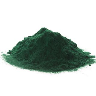 Alga Spirulina